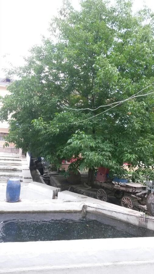 Alanlar Alabalik Ve Otel Ağlasun 외부 사진